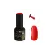 SPHYNX Lac Gēllaka - Happiest of Birthdays 10ml